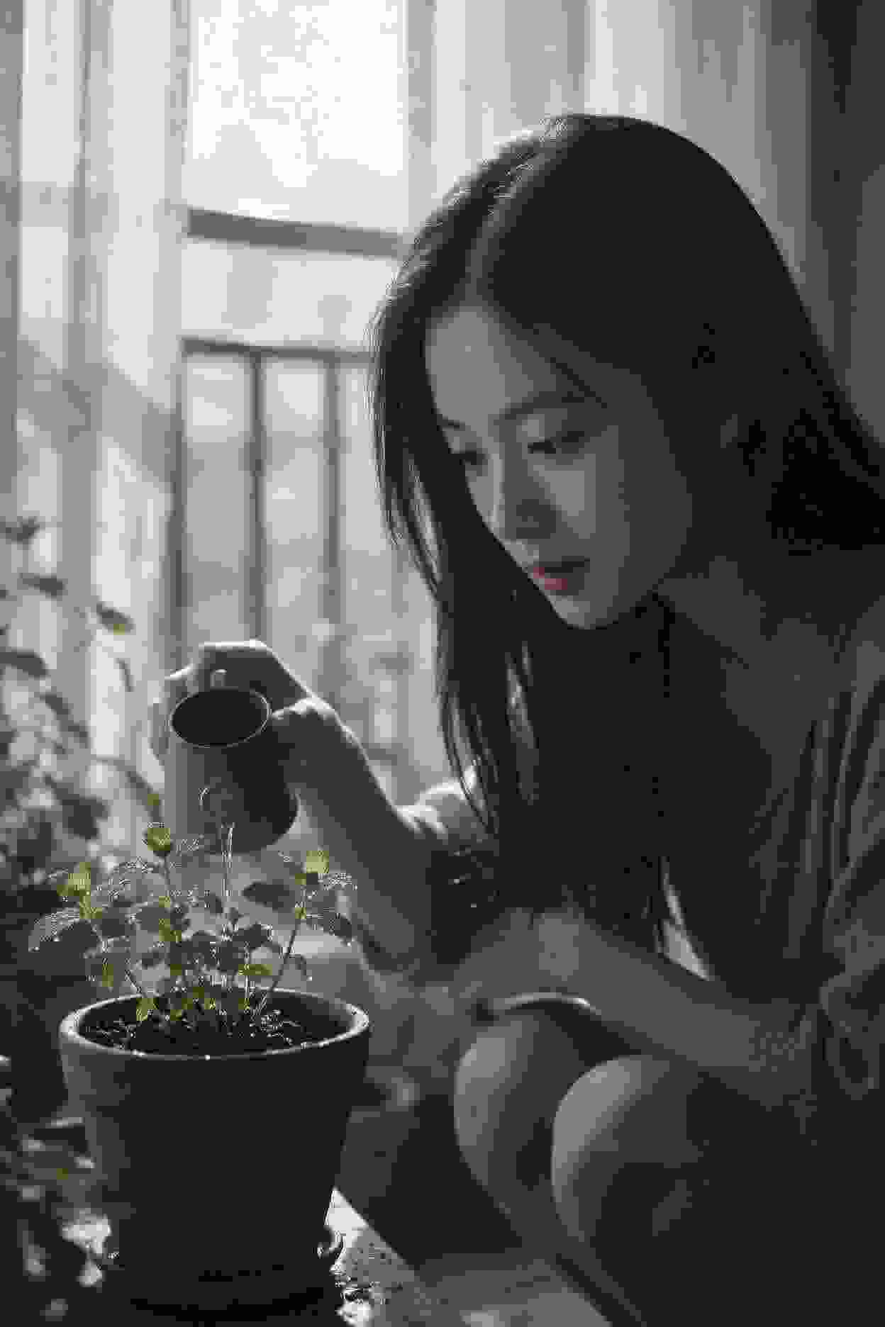 网文改编